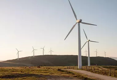 molinos