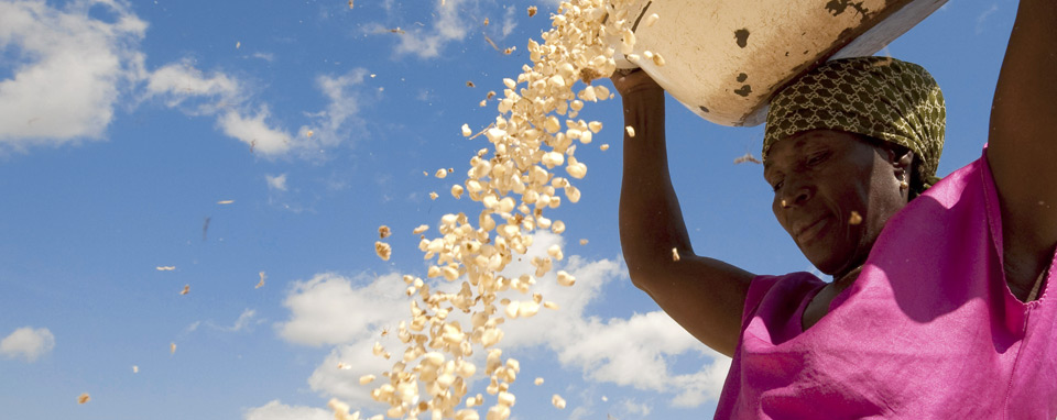 Una telenovela africana