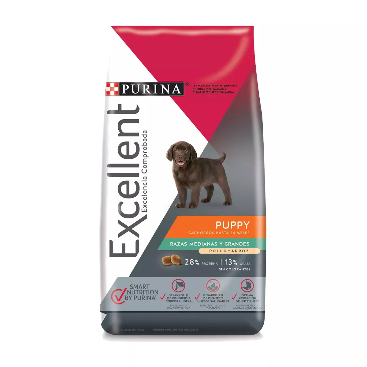 EXCELLENT Puppy Medium & Large Breed CH&R