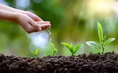 cuidado medio ambiente