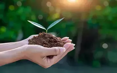 cuidado medio ambiente