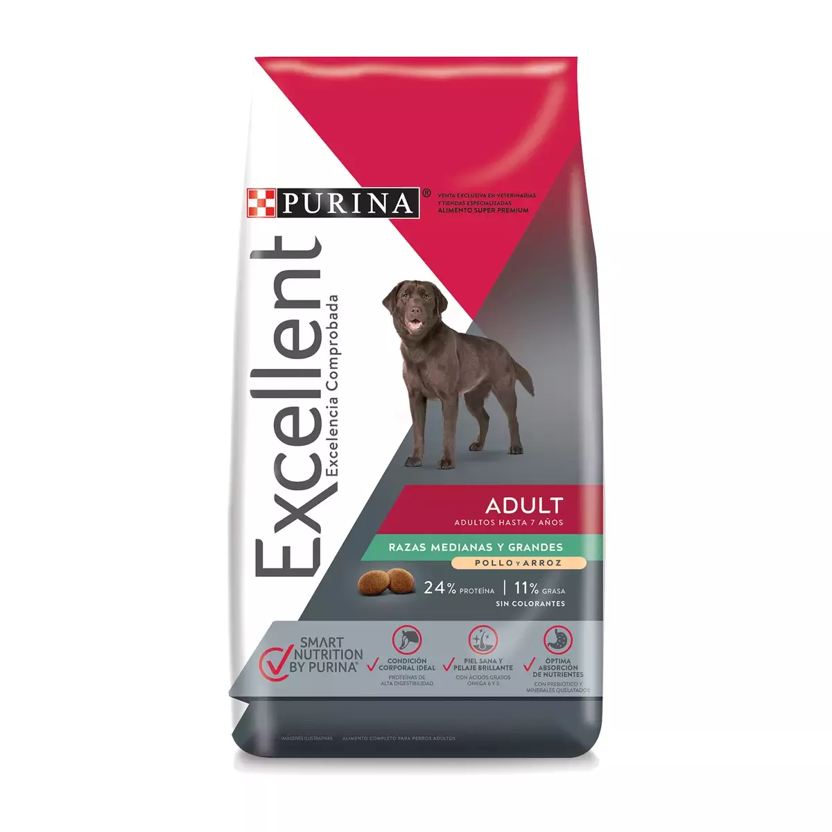 EXCELLENT Adult Dog Medium & Large Breed CH&R