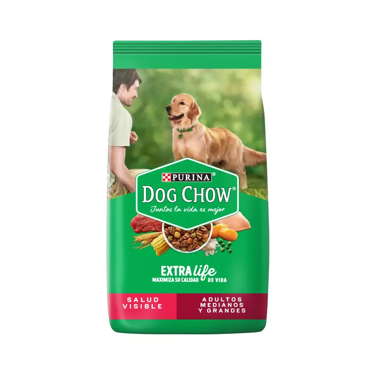 Dog Chow Adultos Medianos y Grandes