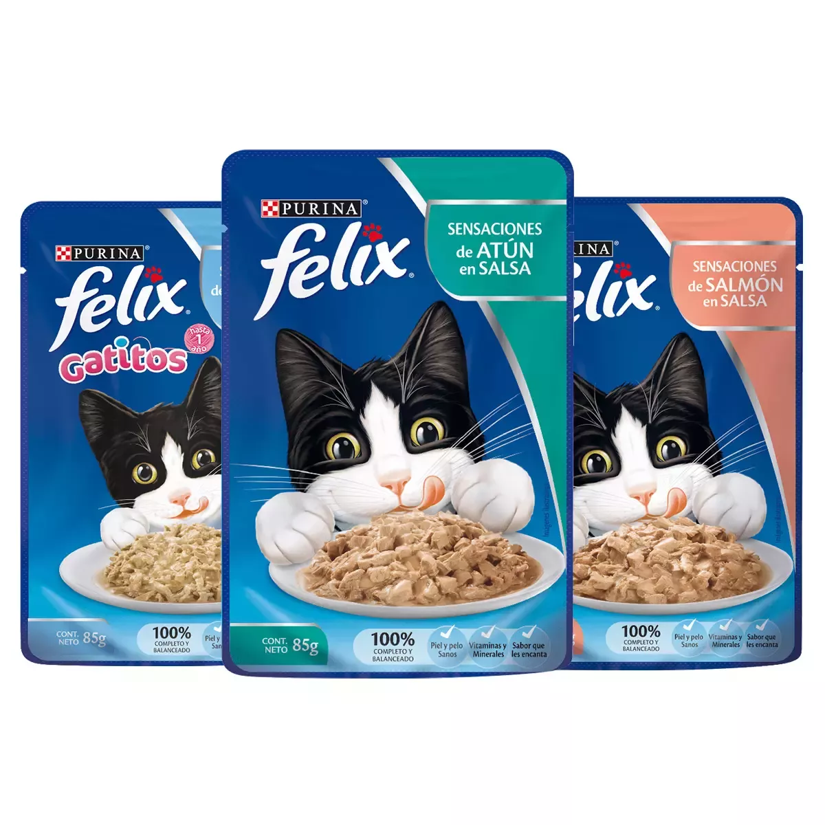 Felix para Gatos