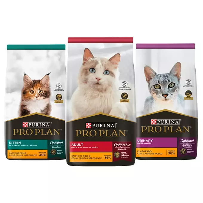 Pro Plan para Gatos